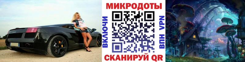 Псилоцибиновые грибы Psilocybe  купить закладку  Ногинск 