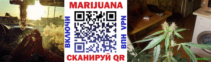 Конопля OG Kush  купить наркотики цена  Ногинск 